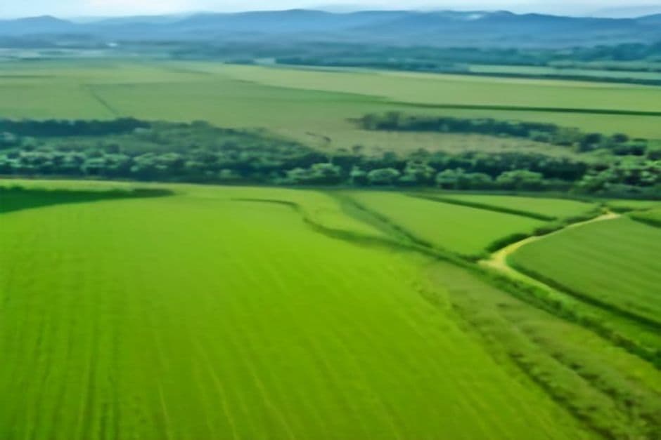Emerging Investment Opportunities in Bali's Agricultural Sector